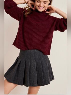 NWT Francesca’s Mary Pleated Mini Skirt